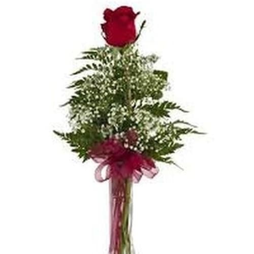 Single red rose with baby's breath in a tall clear glass vase with red ribbon bow