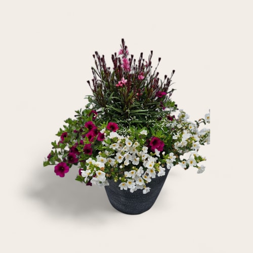 Perfect patio pot