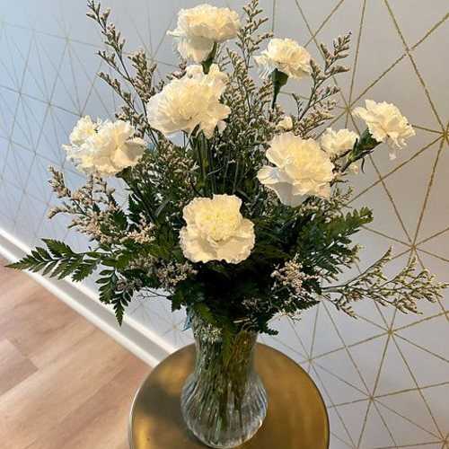 Carnations