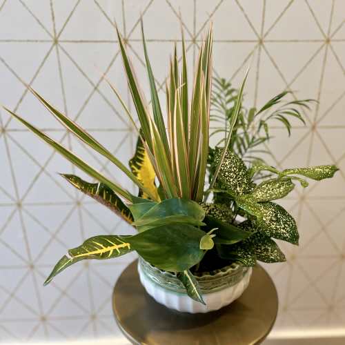 Tropical foliage arrangement in a white ceramic bowl