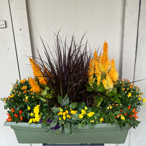 Rectangular planter with orange and yellow flowers and tall dark ornamental grass