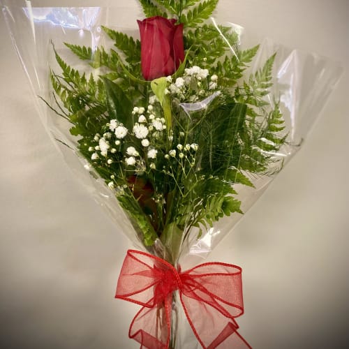 Single red rose with baby's breath and ferns wrapped in clear cellophane with a red bow