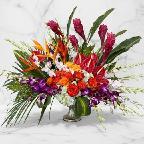 Tropical Sunset Luxe