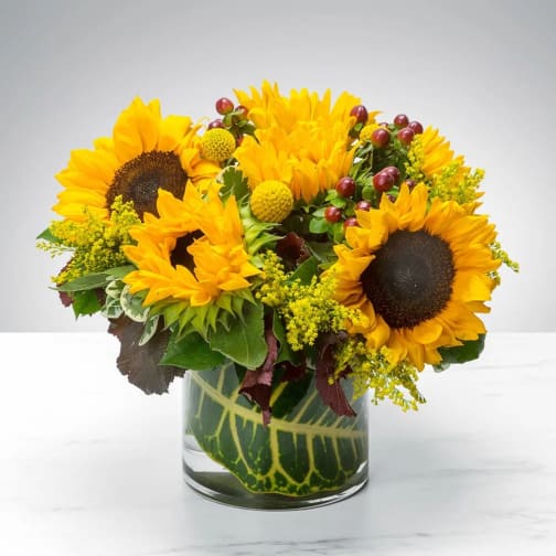 Low arrangement of bright yellow sunflowers with berries in a clear glass vase wrapped with large green leaves.