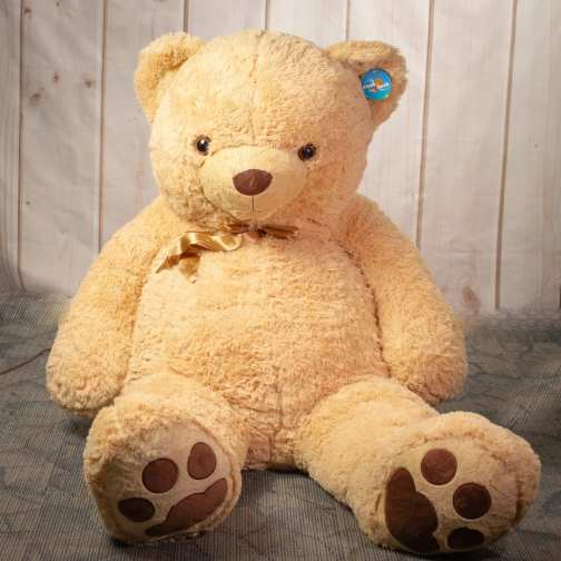 The Grand Hug Bear
