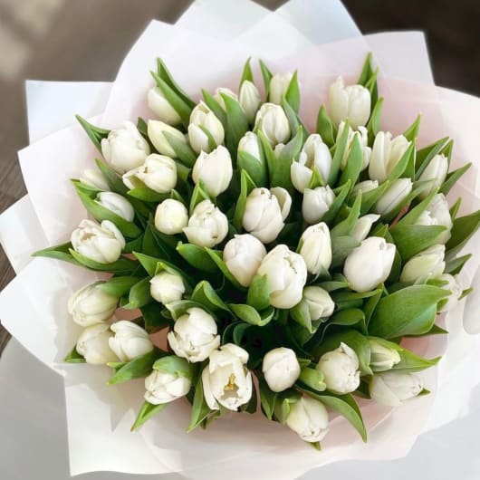 Bouquet of white tulips wrapped in pale paper