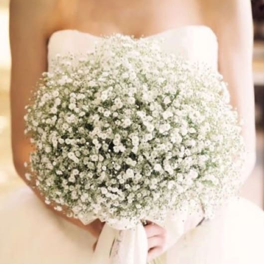White baby's breath bouquet with a ribbon wrap