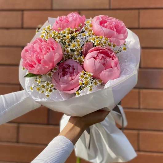 Bouquet of pink peonies with small white daisies wrapped in white paper