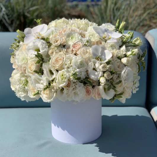 White and blush floral arrangement in a round white box