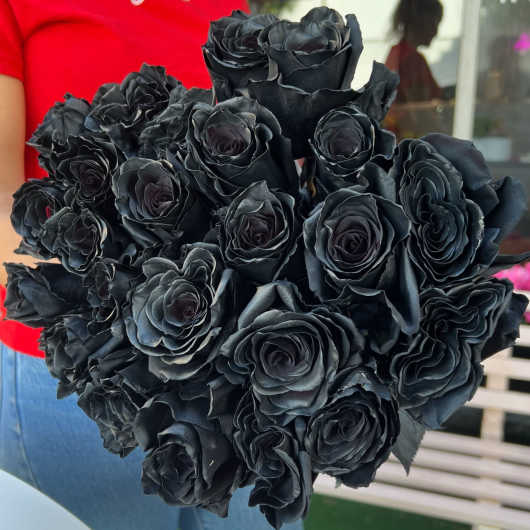Bouquet of black roses held in front of a person