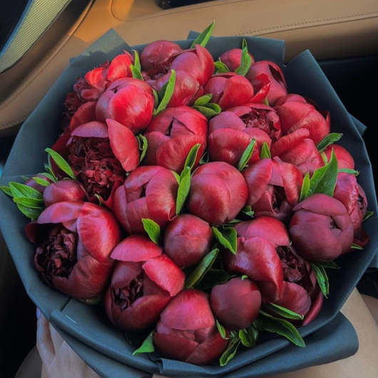 Dark Red Peonies