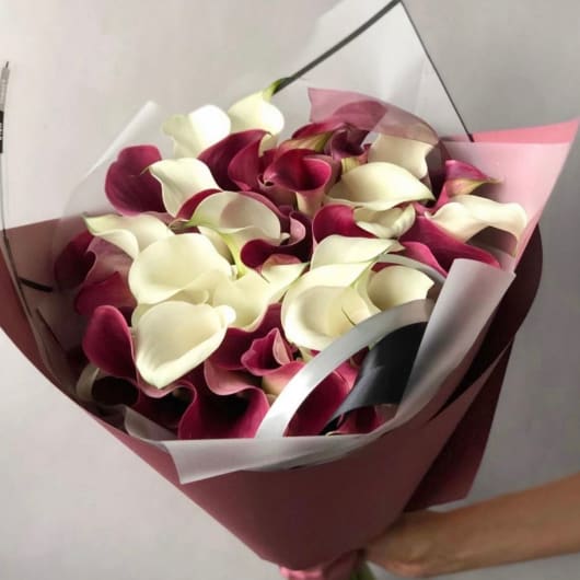 Purple and White Calla Lilies