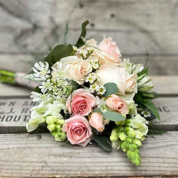 Bouquet of pink and white roses with small white filler flowers