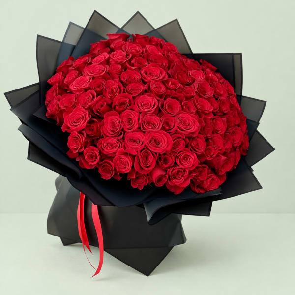 Large bouquet of red roses wrapped in black paper with a red ribbon