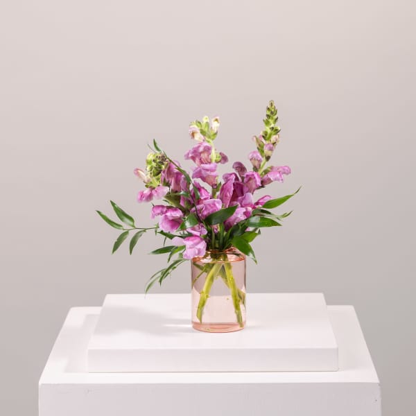 Pink snapdragon bouquet in a clear glass vase