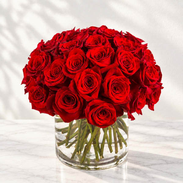 Red roses arranged in a clear glass vase