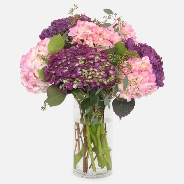 Pink and purple hydrangea bouquet in a clear glass vase