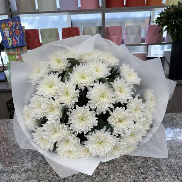 Bouquet of white chrysanthemums wrapped in white paper
