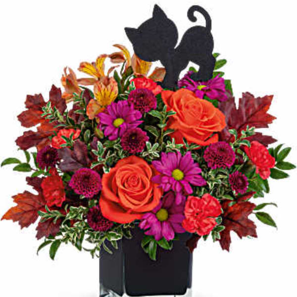 Colorful floral arrangement in a black container with cat silhouettes