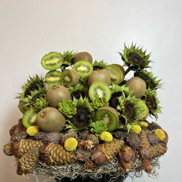 Kiwi Holiday