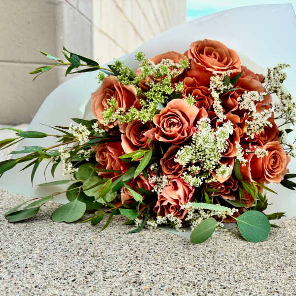 Terracotta Rose