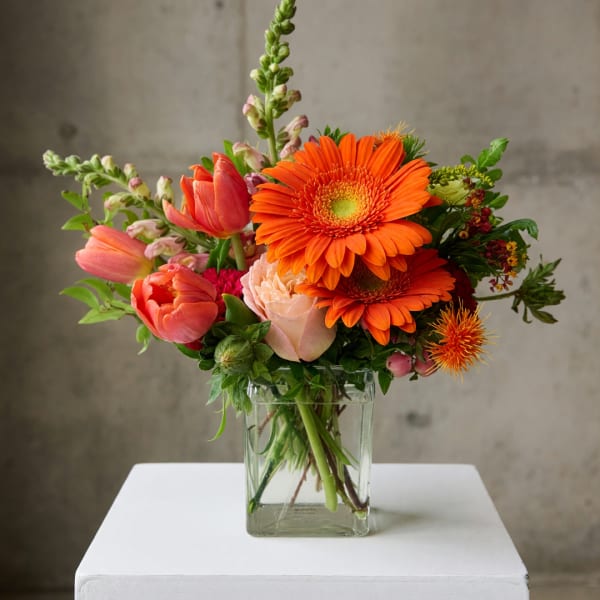 Orange gerbera daisies and pink tulips in a clear glass vase