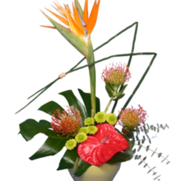 Tropical flower arrangement with orange bird-of-paradise and red anthurium in a vase