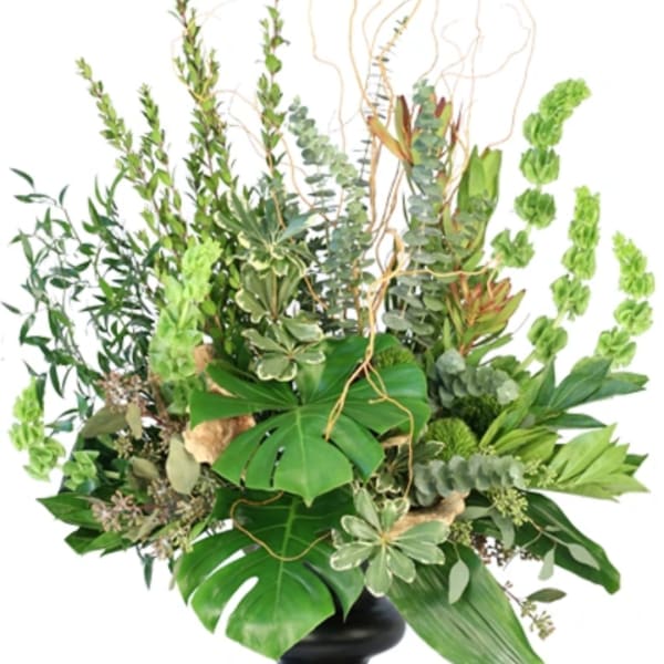 Large green tropical arrangement in a black vase