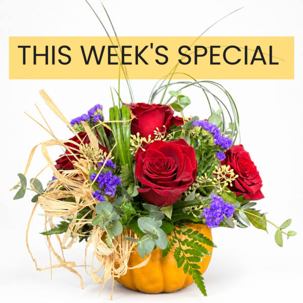 Red roses in a pumpkin vase with purple filler flowers
