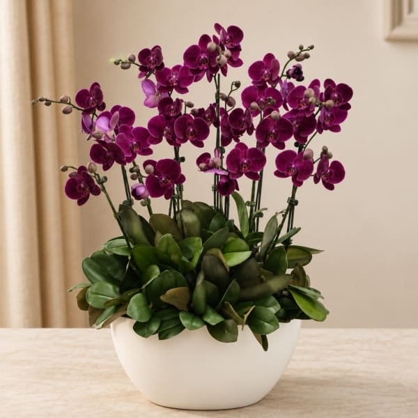 Purple orchids in a white bowl planter