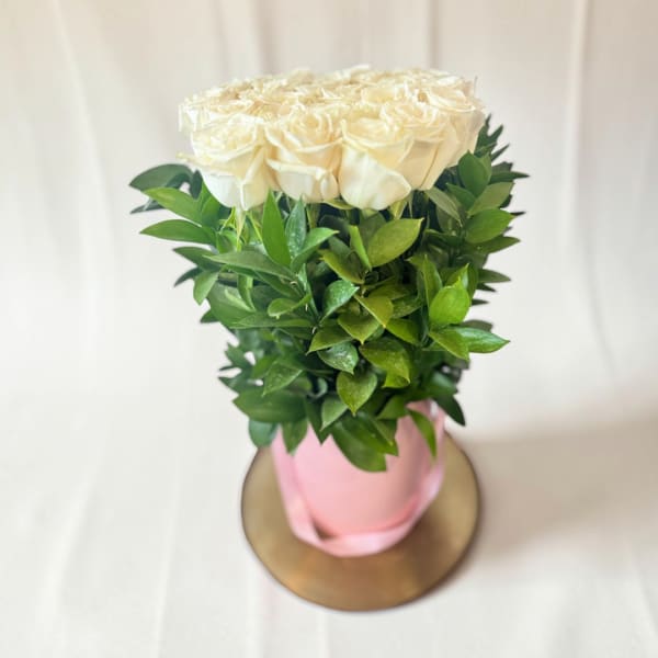 Cream roses in a pink hatbox with green foliage
