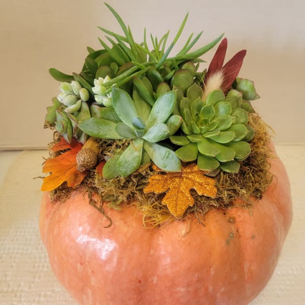 Succulent arrangement in a pumpkin-shaped container with autumn leaves