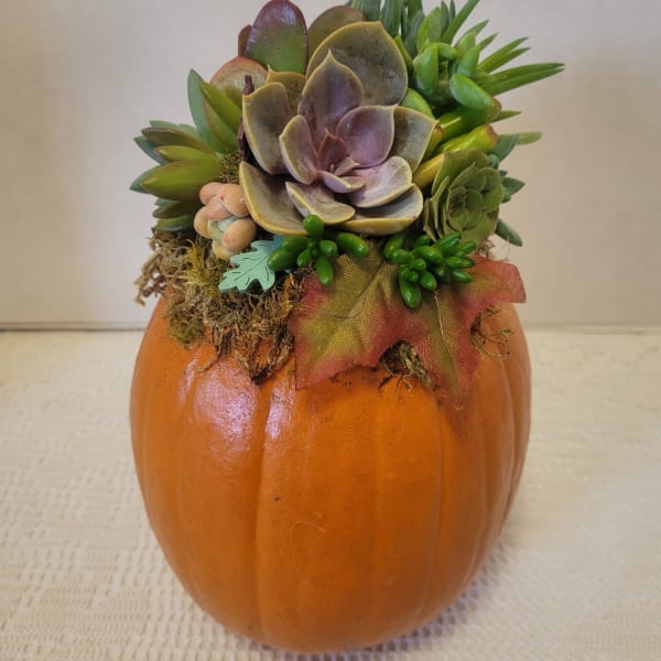 Succulent arrangement in a painted orange pumpkin container