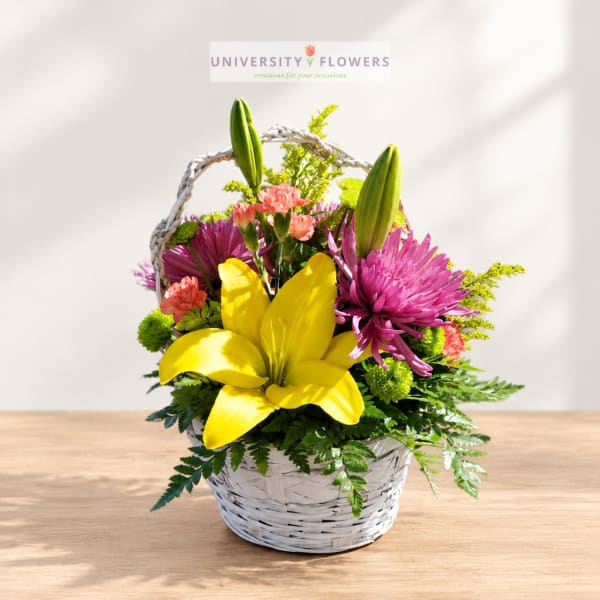 Basket arrangement with yellow lilies, pink chrysanthemums, and coral carnations