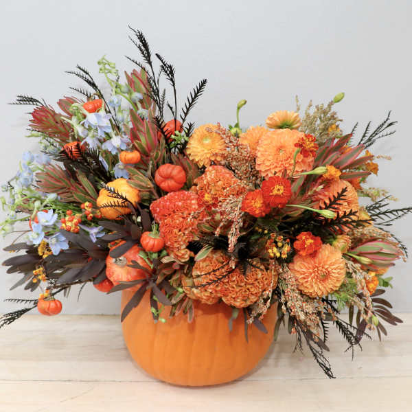 Orange floral arrangement in a pumpkin container with autumn blooms