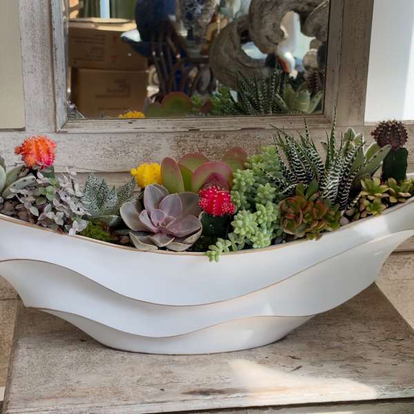 Succulent arrangement in a white boat-shaped planter