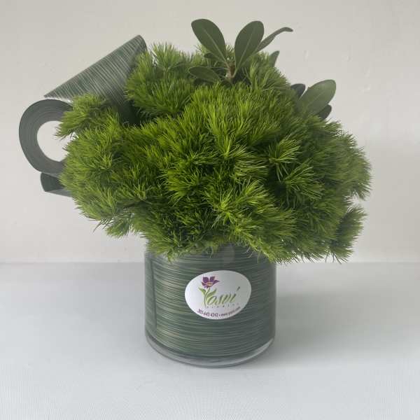 Green pom-pom bouquet in a striped glass vase
