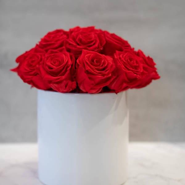 Red Preserved Roses in white cylinder