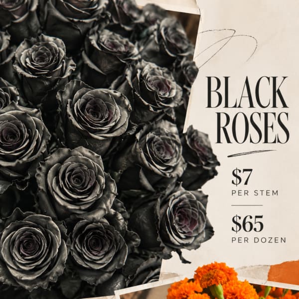 Black roses arranged beside a price sign reading "BLACK ROSES."