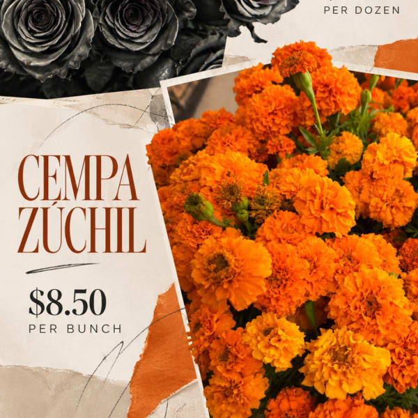 Bunch of bright orange cempasuchil marigolds with a price sign