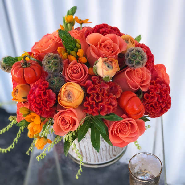 Coral roses and red cockscomb in a white vase with orange accents
