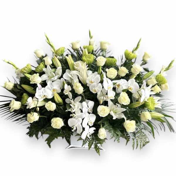 White orchids and pale roses arranged in a low floral spray