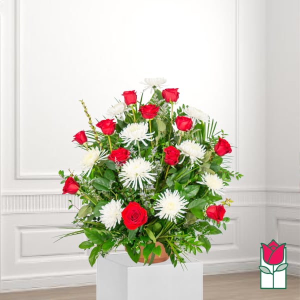 Red roses and white spider mums in a terracotta pot