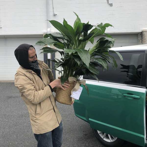 Man holding a large potted green plant in a woven basket