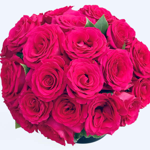 Bouquet of bright pink roses in a round arrangement