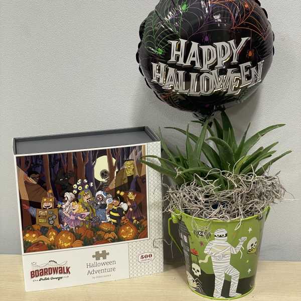 Lil Mummy Plant Chocolates Trio