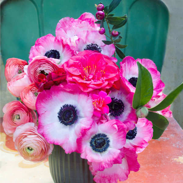 Pink and white anemones with ranunculus in a dark vase