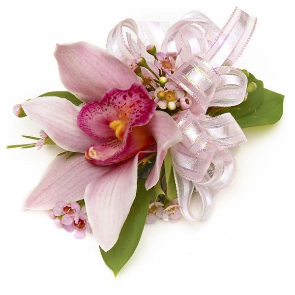 Pink cymbidium orchid corsage with tiny pink blossoms and a sheer pink ribbon bow.