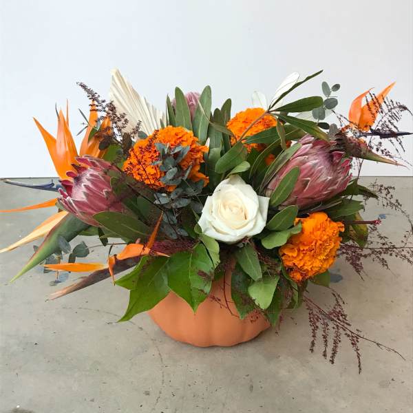 Fall Celebration