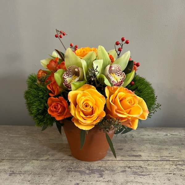 Orange and yellow roses in a terracotta pot with red berry accents